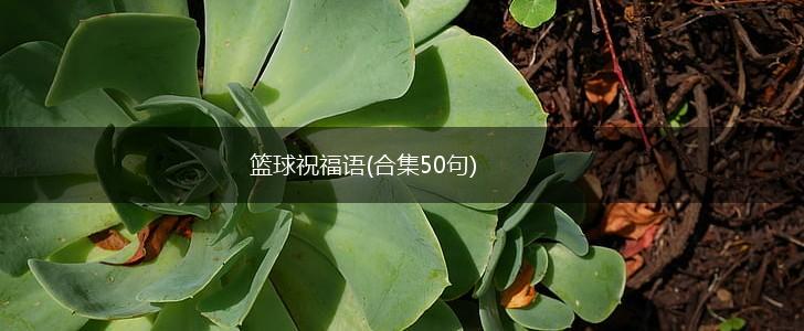 刻苦训练篮球时如何避免受伤的建议_0